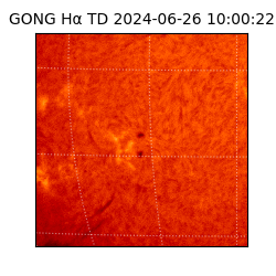 gong - 2024-06-26T10:00:22