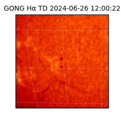 gong - 2024-06-26T12:00:22