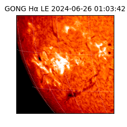 gong - 2024-06-26T01:03:42