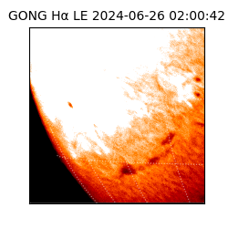 gong - 2024-06-26T02:00:42