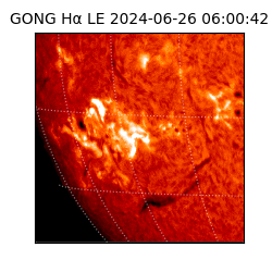 gong - 2024-06-26T06:00:42