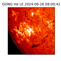 gong - 2024-06-26T08:00:42