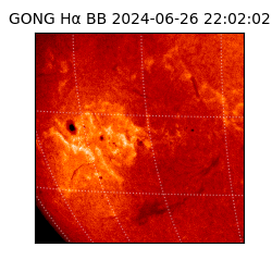 gong - 2024-06-26T22:02:02