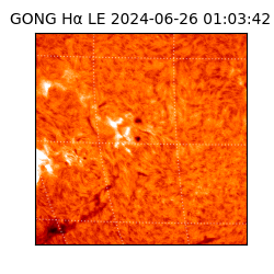 gong - 2024-06-26T01:03:42