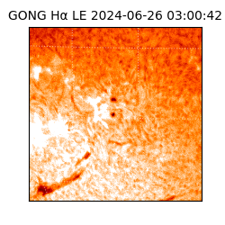 gong - 2024-06-26T03:00:42