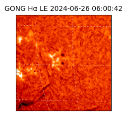 gong - 2024-06-26T06:00:42