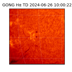 gong - 2024-06-26T10:00:22