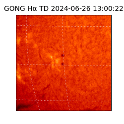 gong - 2024-06-26T13:00:22