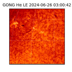 gong - 2024-06-26T03:00:42