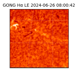 gong - 2024-06-26T08:00:42