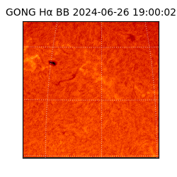 gong - 2024-06-26T19:00:02