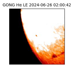 gong - 2024-06-26T02:00:42