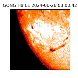 gong - 2024-06-26T03:00:42