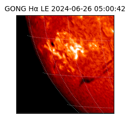 gong - 2024-06-26T05:00:42