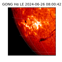 gong - 2024-06-26T08:00:42