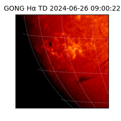 gong - 2024-06-26T09:00:22