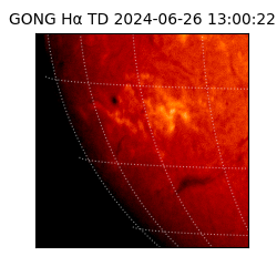 gong - 2024-06-26T13:00:22