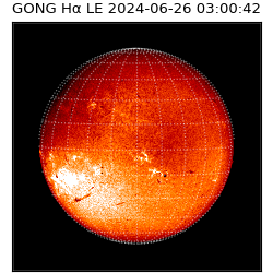 gong - 2024-06-26T03:00:42