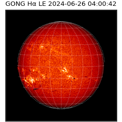 gong - 2024-06-26T04:00:42
