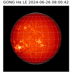 gong - 2024-06-26T08:00:42