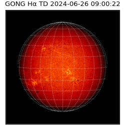 gong - 2024-06-26T09:00:22