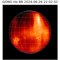 gong - 2024-06-26T22:02:02