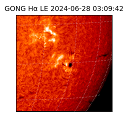 gong - 2024-06-28T03:09:42