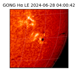 gong - 2024-06-28T04:00:42