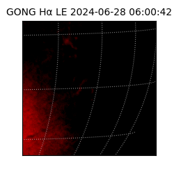 gong - 2024-06-28T06:00:42