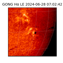 gong - 2024-06-28T07:02:42