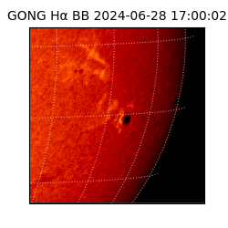 gong - 2024-06-28T17:00:02