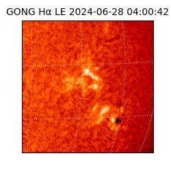 gong - 2024-06-28T04:00:42