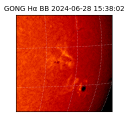 gong - 2024-06-28T15:38:02
