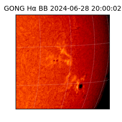 gong - 2024-06-28T20:00:02