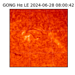 gong - 2024-06-28T08:00:42