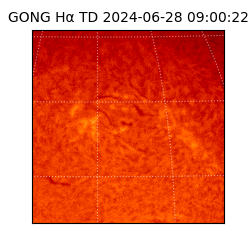 gong - 2024-06-28T09:00:22