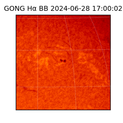 gong - 2024-06-28T17:00:02