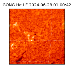 gong - 2024-06-28T01:00:42