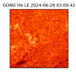 gong - 2024-06-28T03:09:42