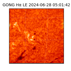gong - 2024-06-28T05:01:42