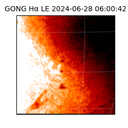 gong - 2024-06-28T06:00:42
