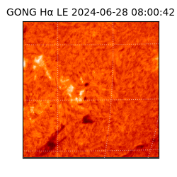 gong - 2024-06-28T08:00:42