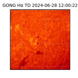 gong - 2024-06-28T12:00:22