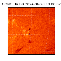 gong - 2024-06-28T19:00:02