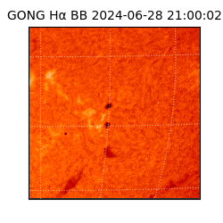 gong - 2024-06-28T21:00:02