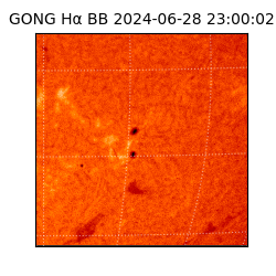 gong - 2024-06-28T23:00:02