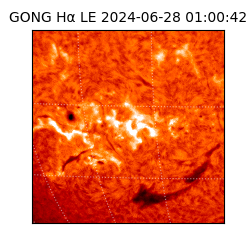 gong - 2024-06-28T01:00:42