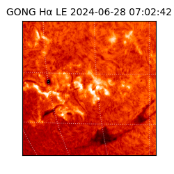 gong - 2024-06-28T07:02:42