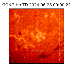 gong - 2024-06-28T09:00:22