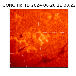 gong - 2024-06-28T11:00:22